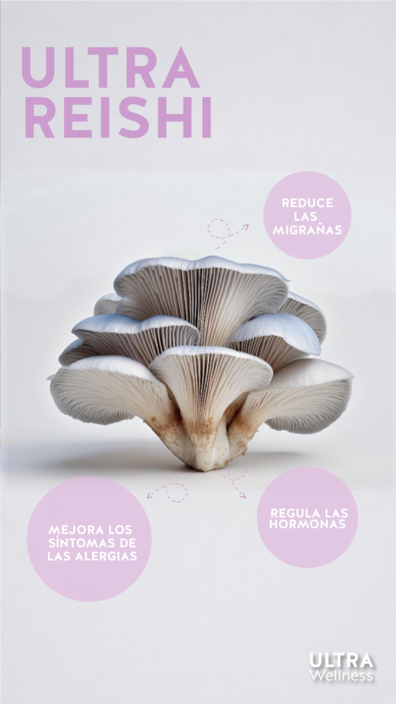 REISHI - Image 9