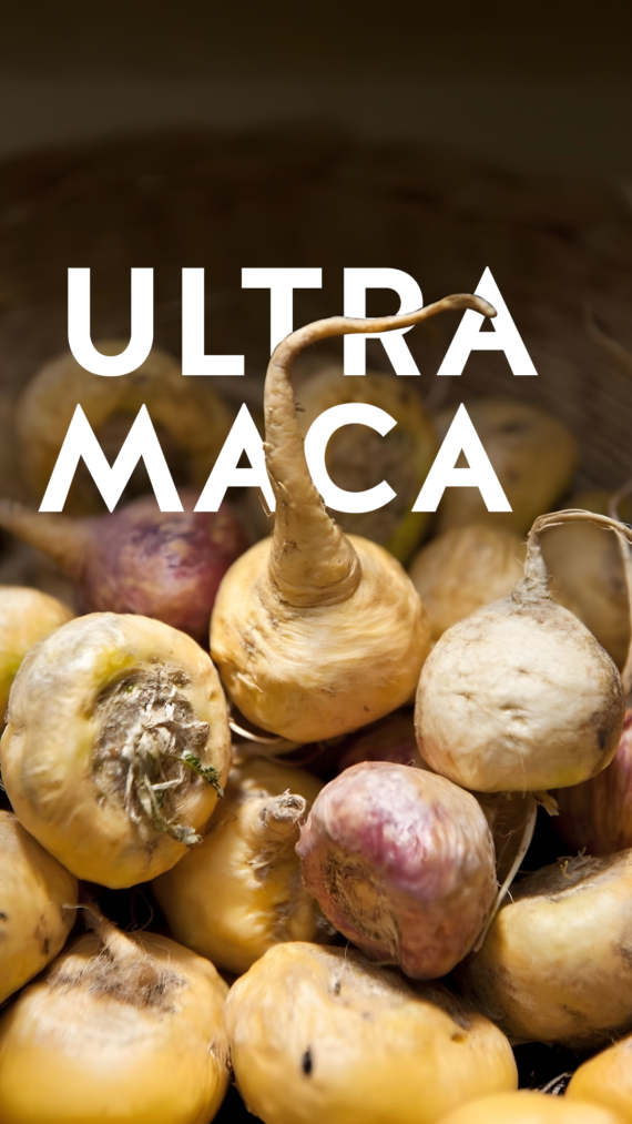 MACA - Image 4